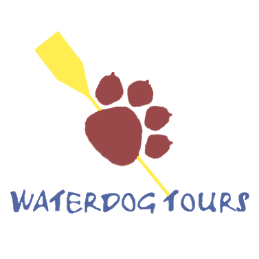 Waterdog Tours El Chaco Ecuador